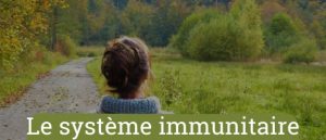 Lire la suite à propos de l’article Aliments clés pour renforcer le système immunitaire face aux maladies chroniques
