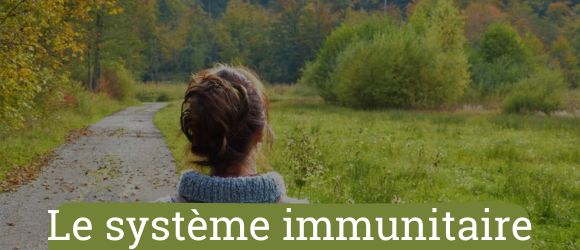 Aliments clés pour renforcer le système immunitaire