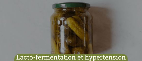 Lacto-fermentation et hypertension