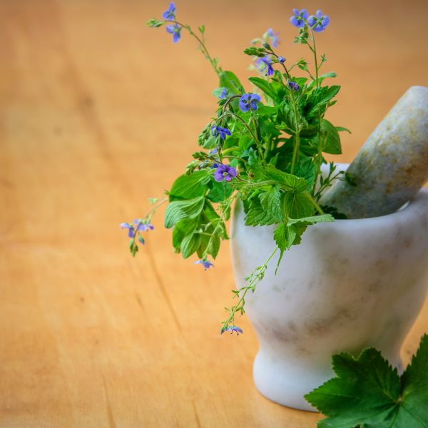 Les meilleures plantes anti-allergiques et anti-inflammatoires pour un soulagement naturel