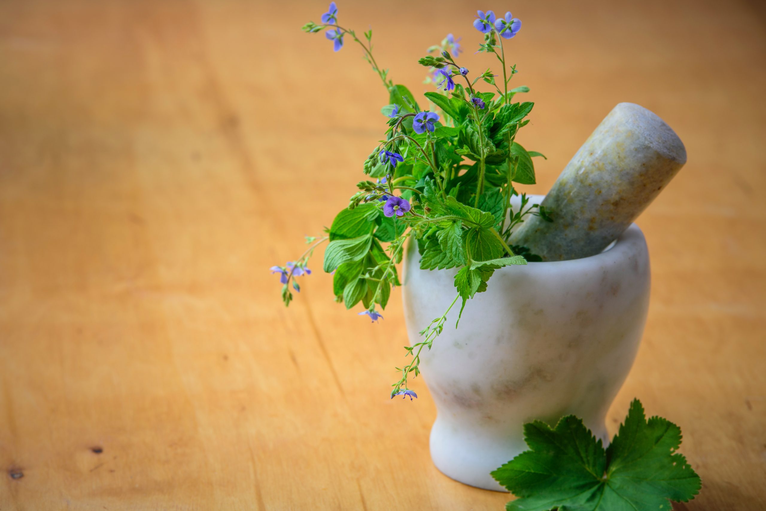 Les meilleures plantes anti-allergiques et anti-inflammatoires pour un soulagement naturel
