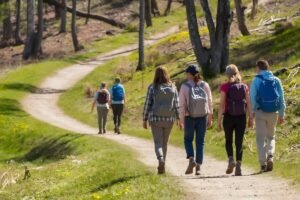 Les bienfaits de la marche sur la prévention des maladies chroniques